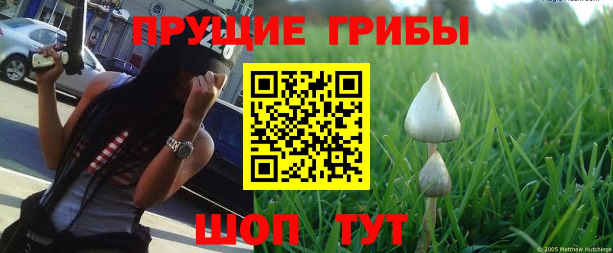Майский  Псилоцибиновые грибы Psilocybe  Псилоцибиновые грибы Magic Shrooms  Вход с VPN 