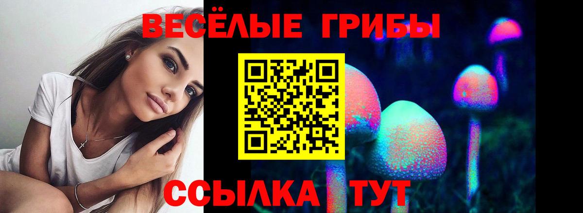 Галлюциногенные грибы Psilocybine cubensis Майский